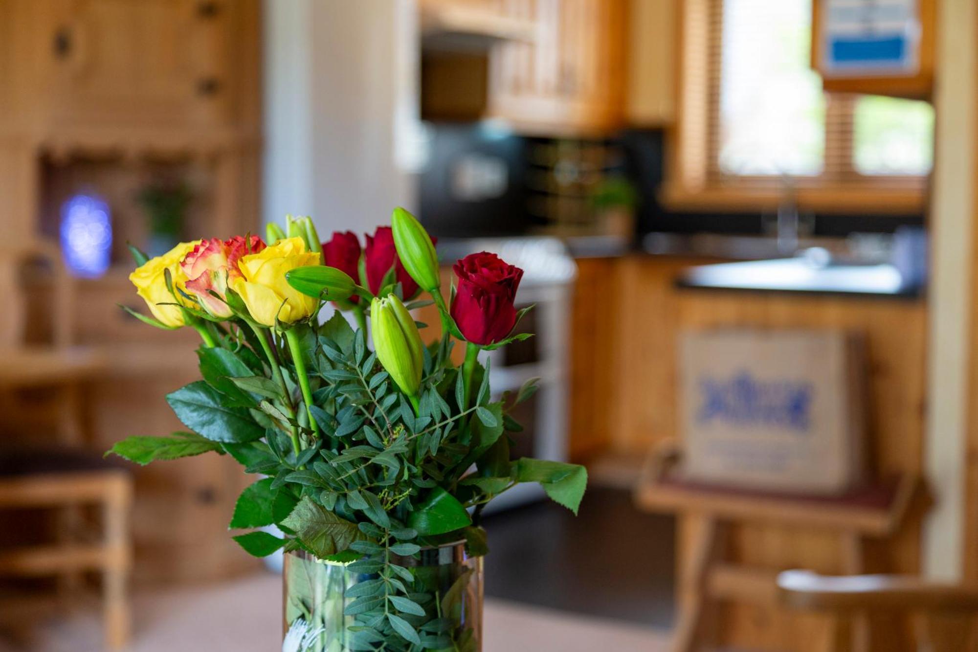 Scandinavian Village Ltd Aviemore Ngoại thất bức ảnh